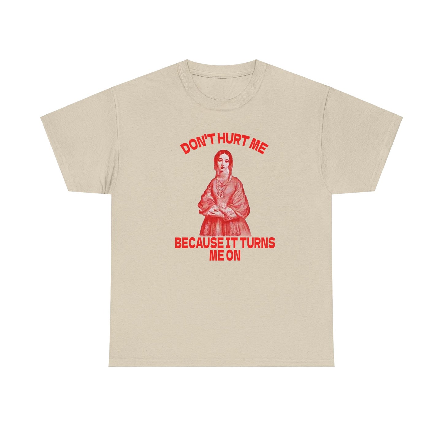 Don't Hurt Me Because It Turns Me On Meme Tshirt,