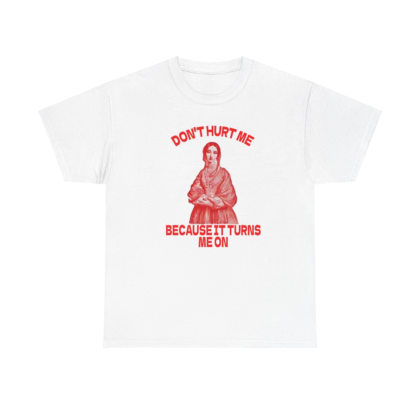 Don't Hurt Me Because It Turns Me On Meme Tshirt,