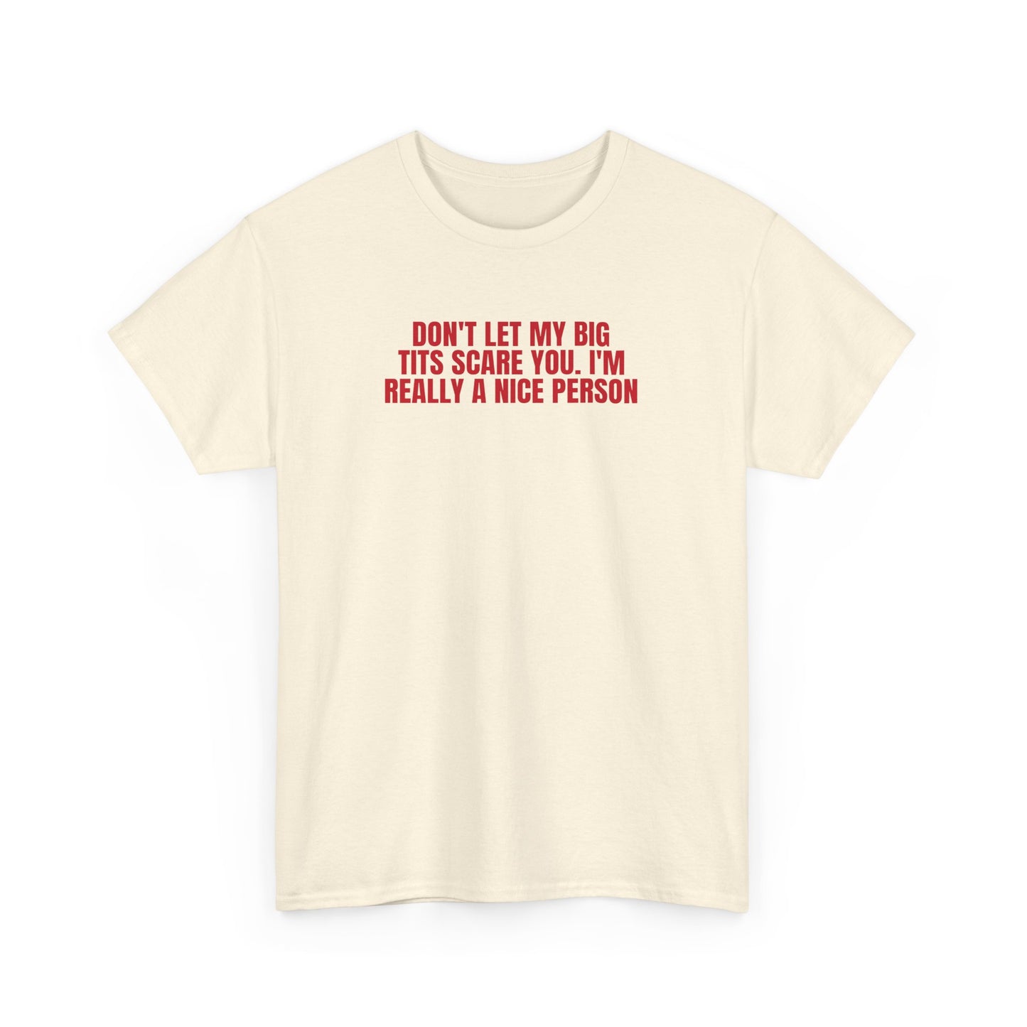 Dont Let My Big Tits Scare You Funny Meme Shirt