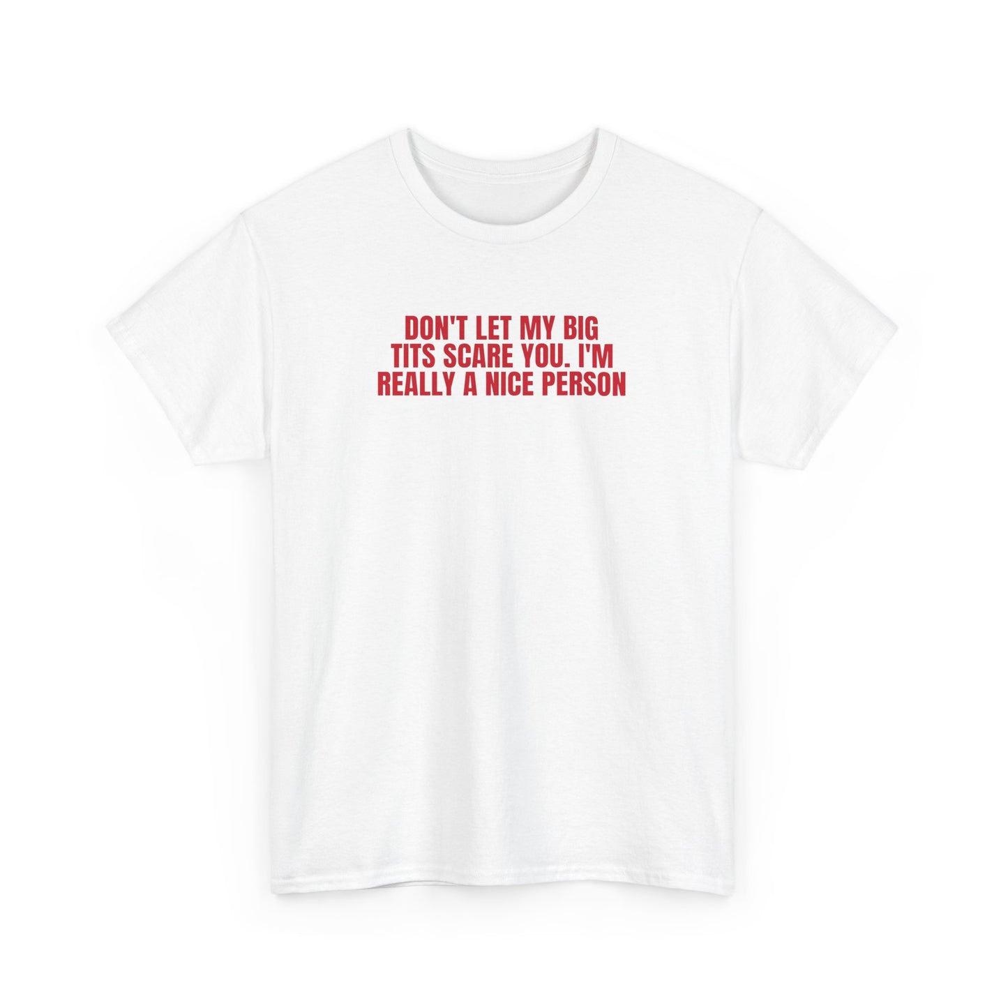 Dont Let My Big Tits Scare You Funny Meme Shirt