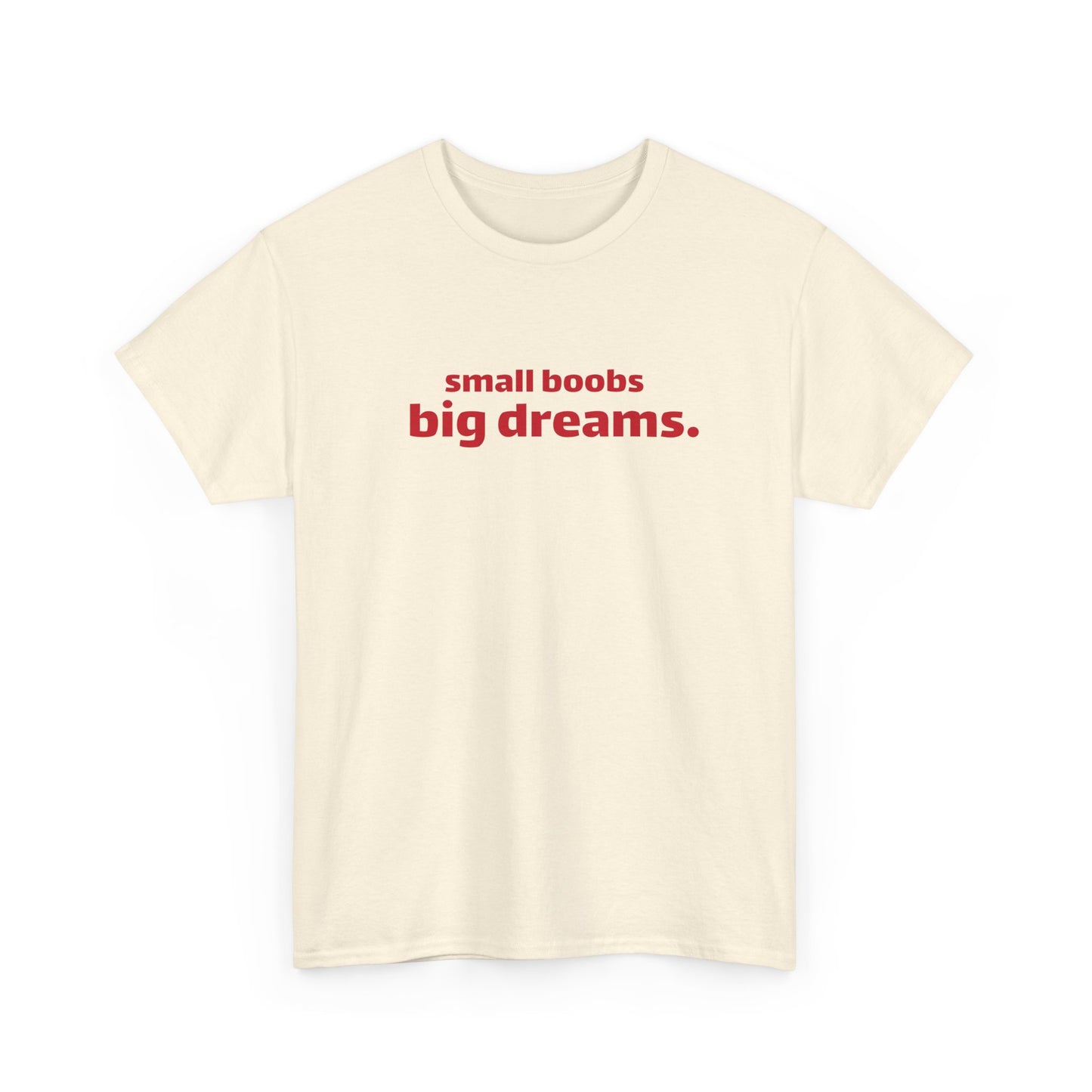 Small Boobs Big Dreams T-Shirt