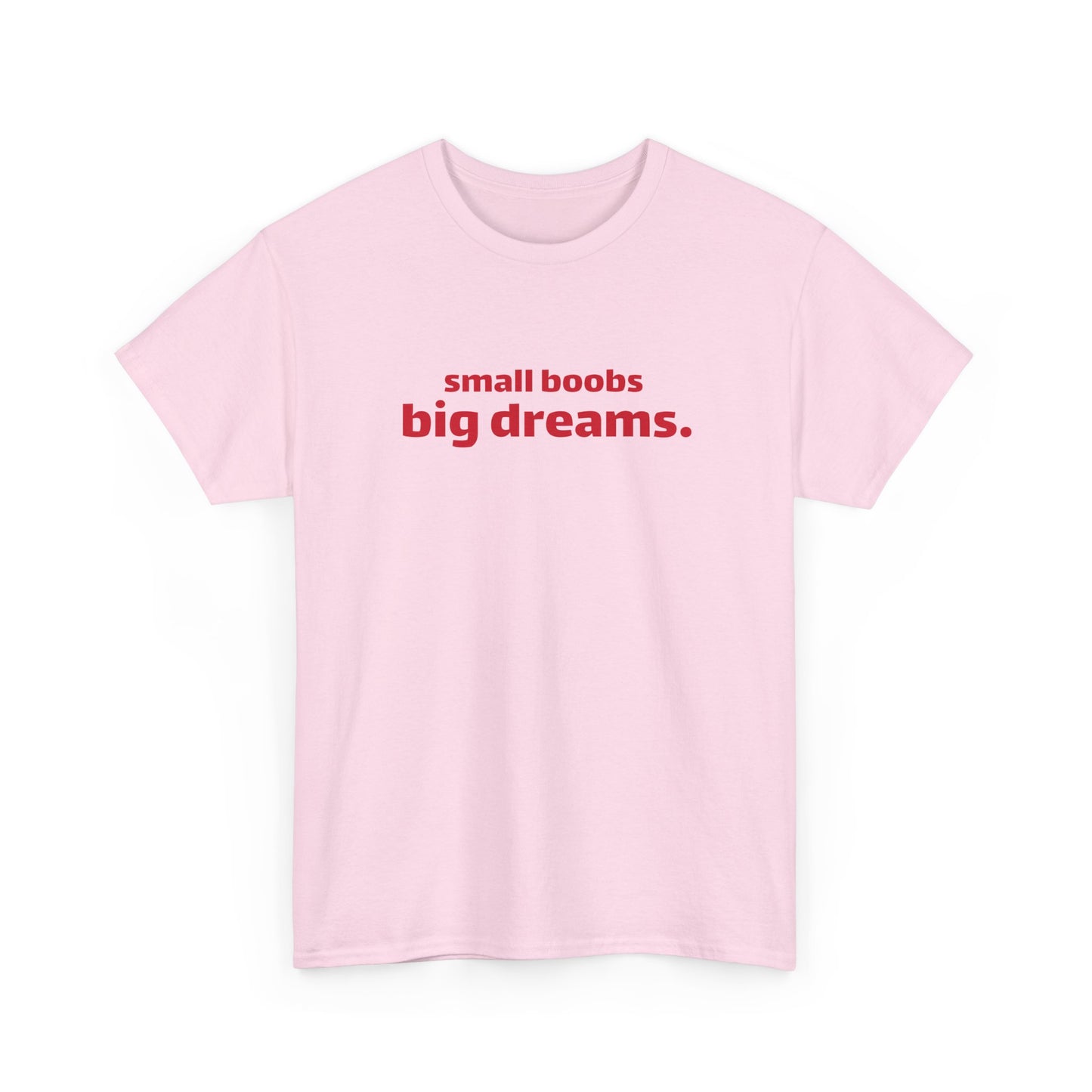 Small Boobs Big Dreams T-Shirt