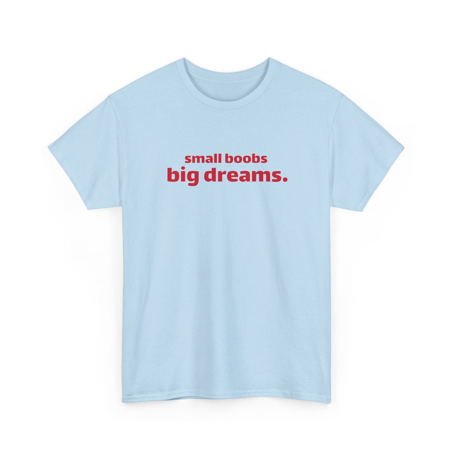 Small Boobs Big Dreams T-Shirt