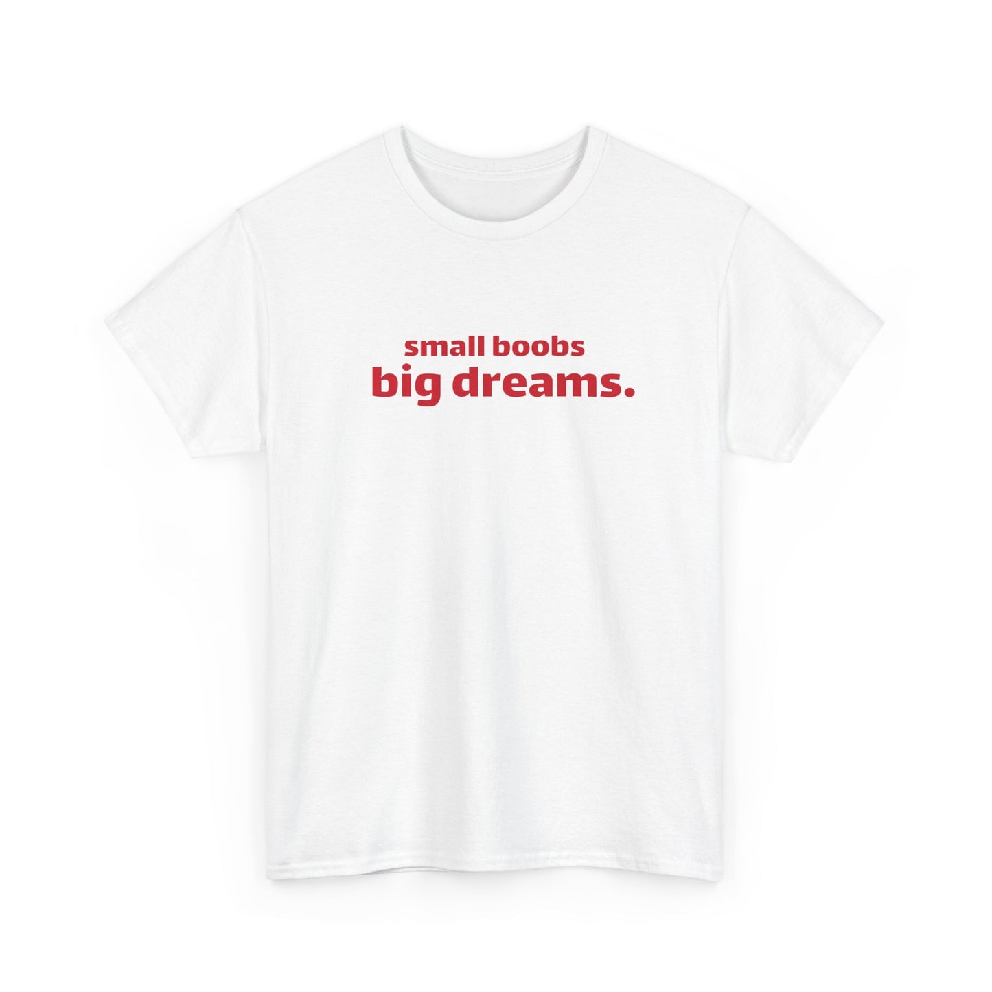 Small Boobs Big Dreams T-Shirt