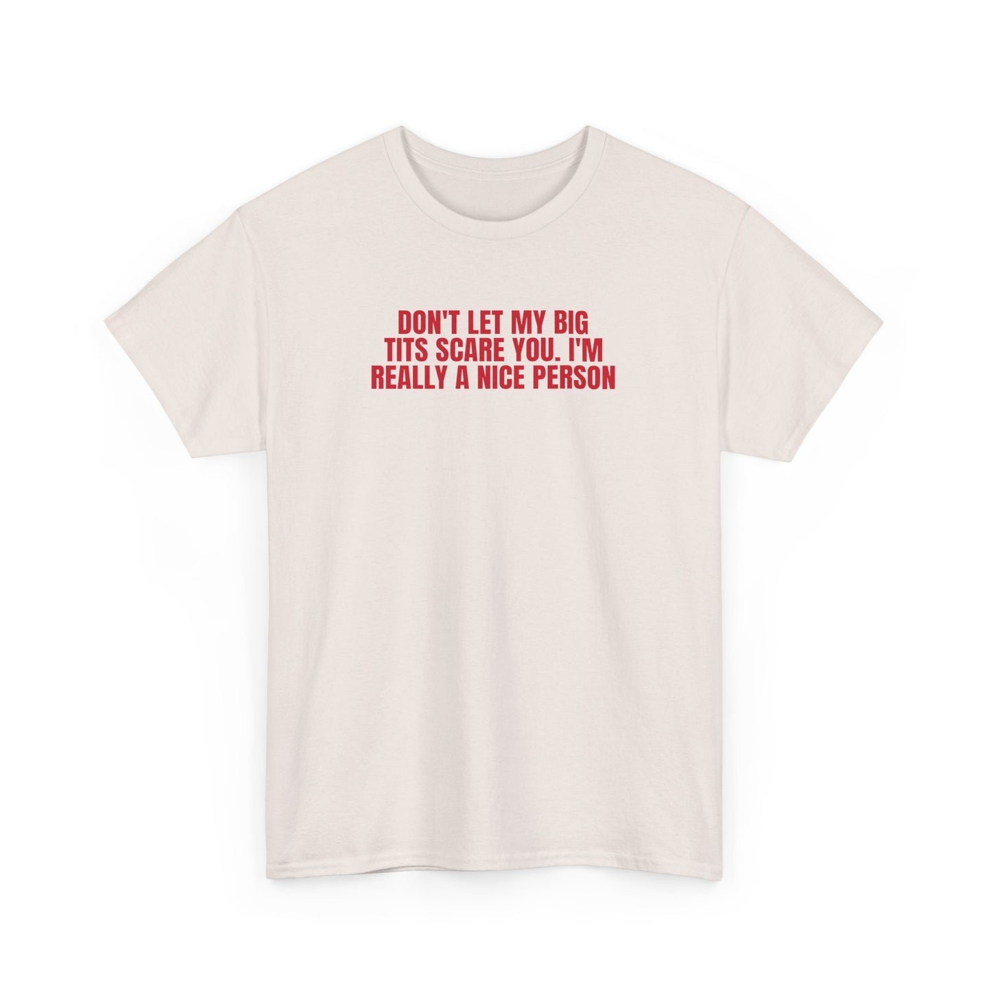 Dont Let My Big Tits Scare You Funny Meme Shirt