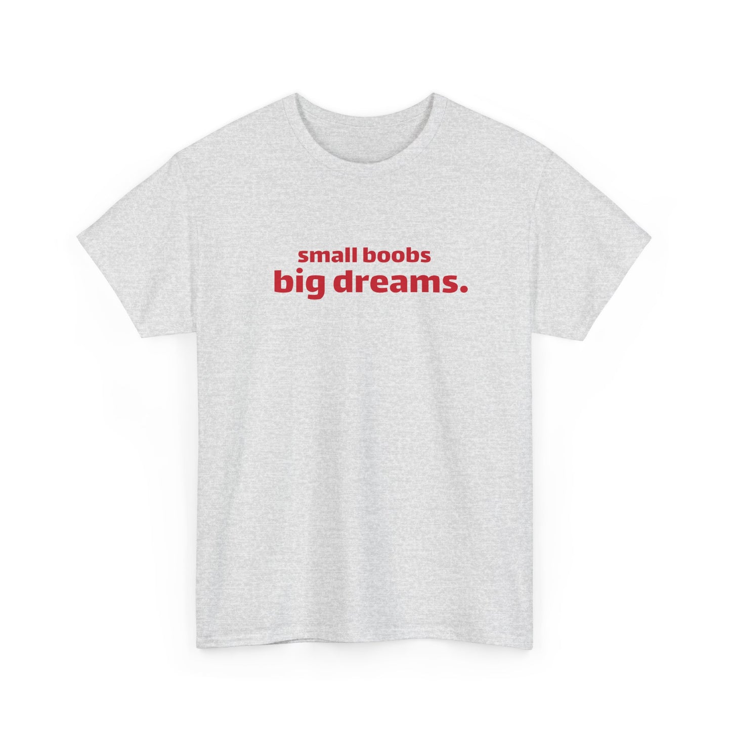 Small Boobs Big Dreams T-Shirt