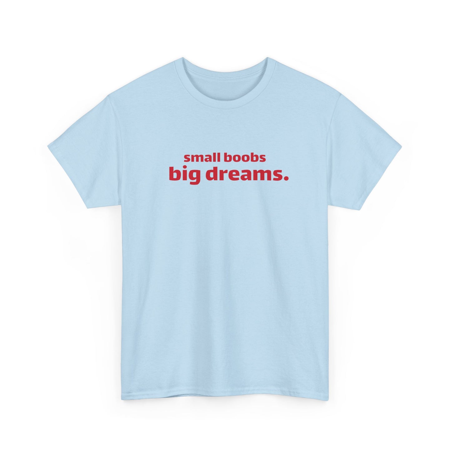 Small Boobs Big Dreams T-Shirt