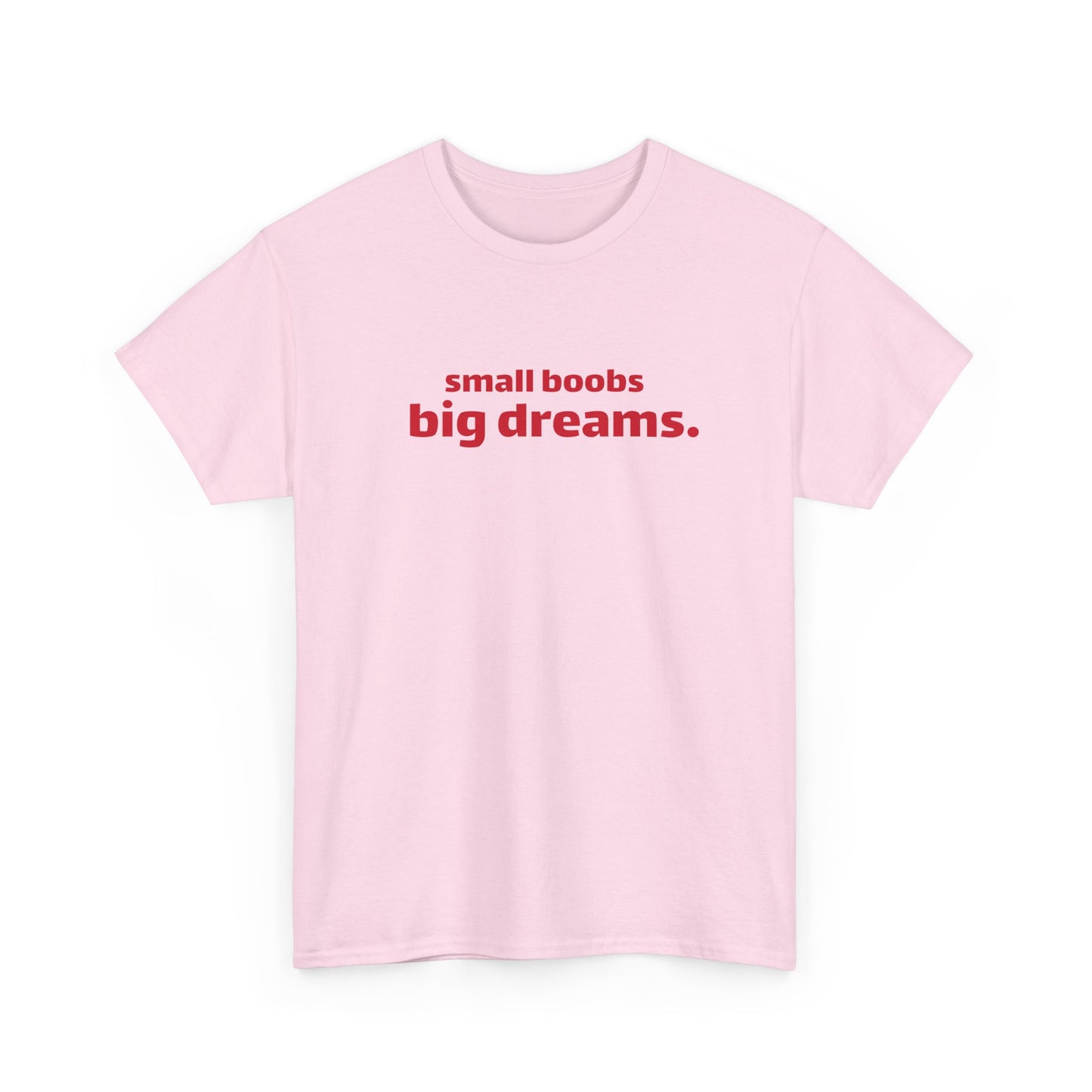 Small Boobs Big Dreams T-Shirt