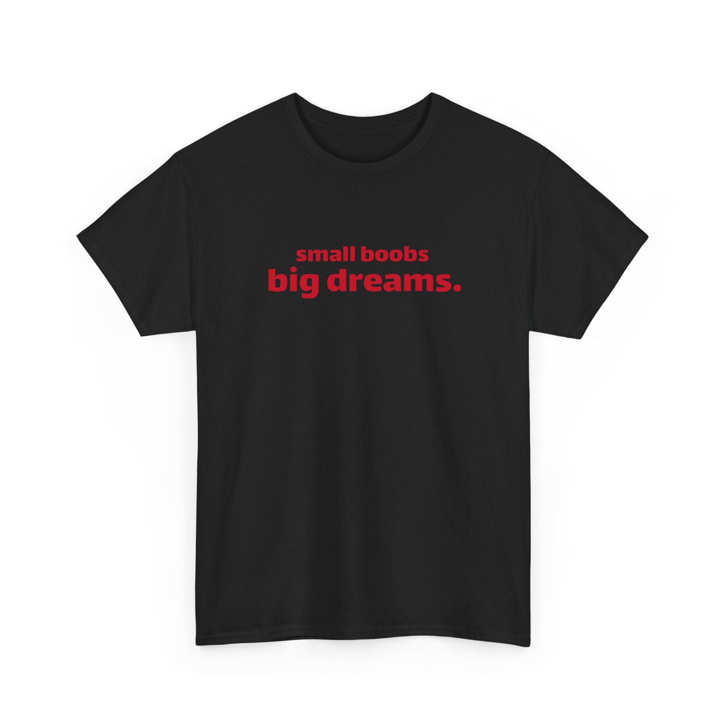 Small Boobs Big Dreams T-Shirt